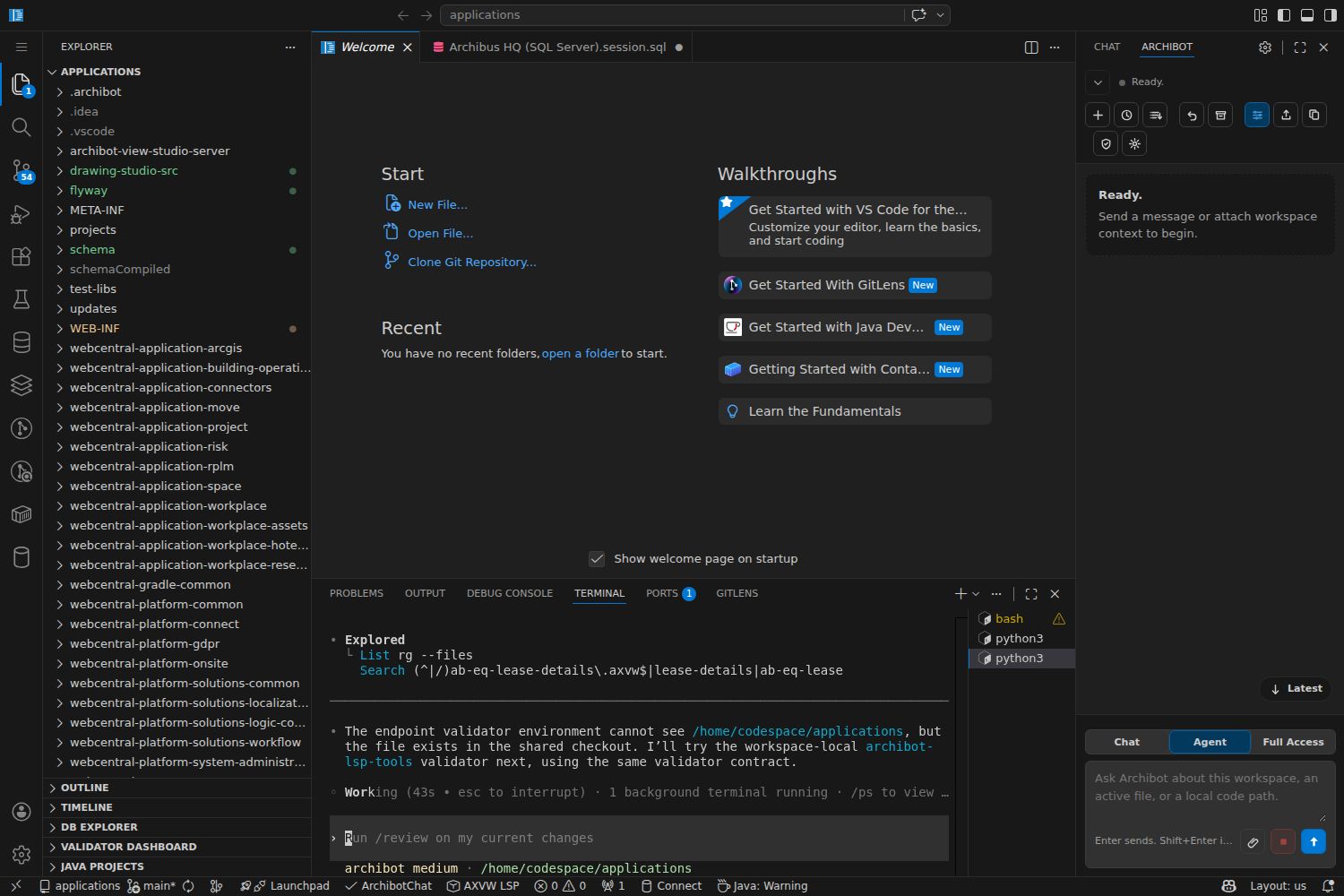 The workspace bot validating an AXVW view in the terminal and reporting the result.